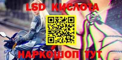 гидра Краснокаменск