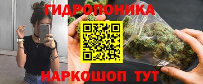 гидра Краснокаменск