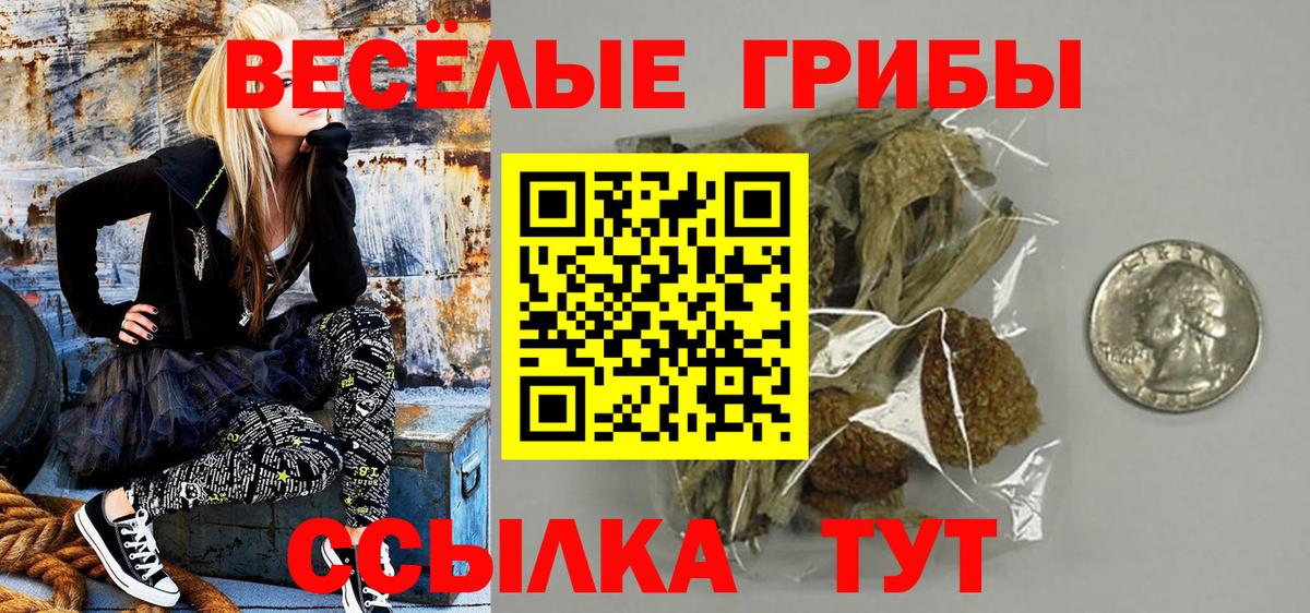 Псилоцибиновые грибы Cubensis Коломна